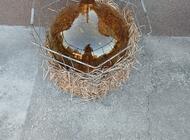 Grajewo ogłoszenia: Sprzedam 30 litrowy galon szklany do robienia wina. - zdjęcie